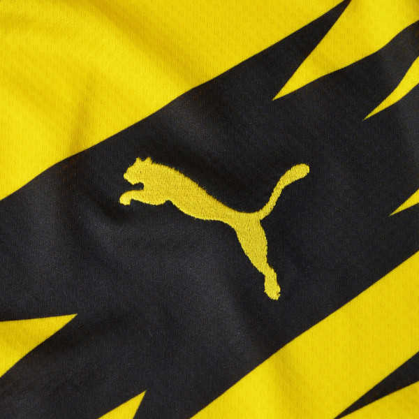 20/21 Borussia Dortmund Home Yellow Men Jersey Jersey - Click Image to Close