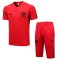 Men's Flamengo Red Training Jersey + Short Set 23/24