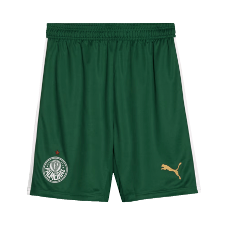 Men's SE Palmeiras Away Shorts 2024
