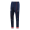 Men's PSG X Jordan Navy Pants 22/23
