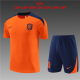 Kid's Netherlands Orange Training Jersey + Short Set 23/24